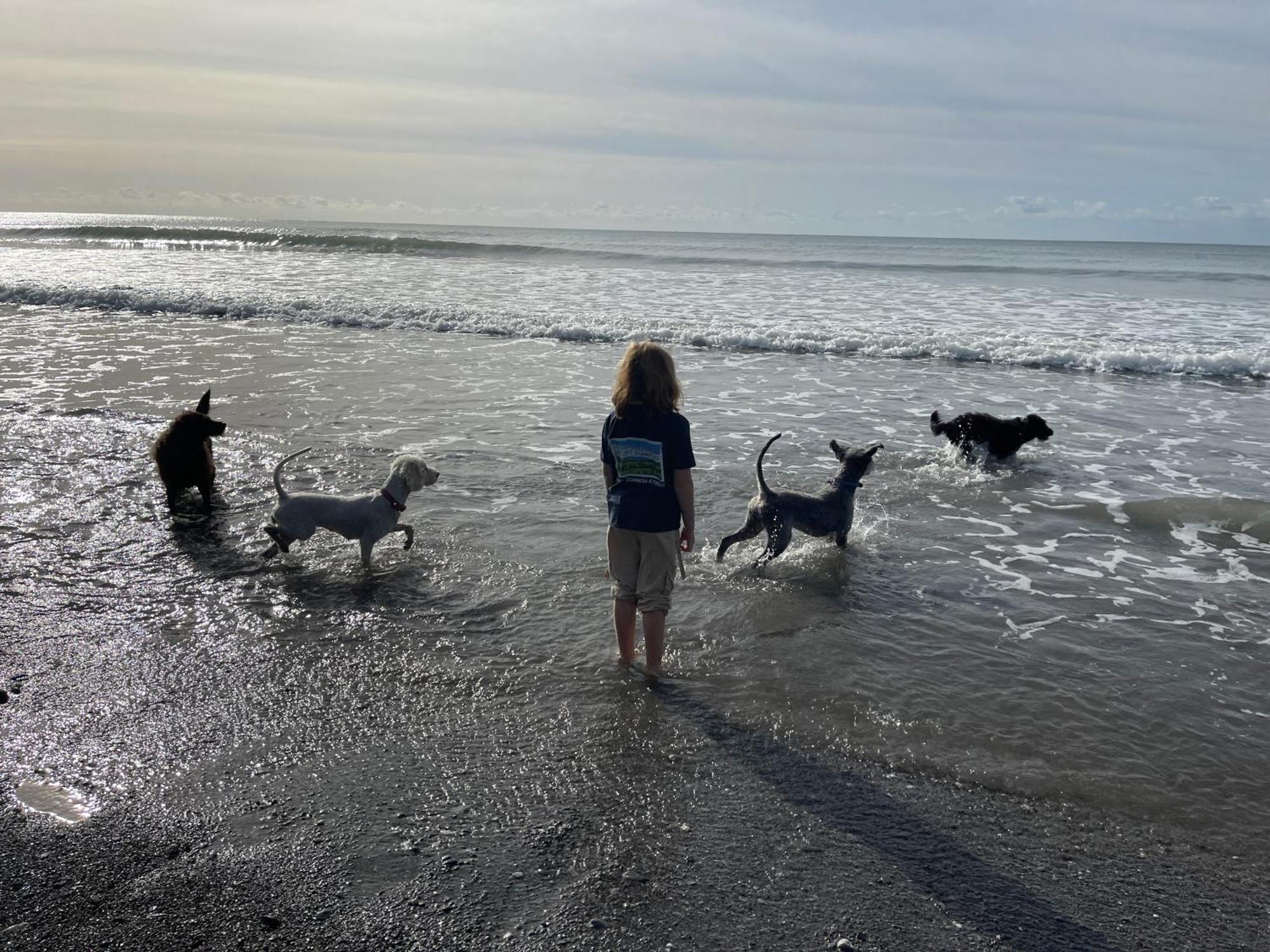 Appartamento The Pasty - Lydcott Glamping Looe Esterno foto